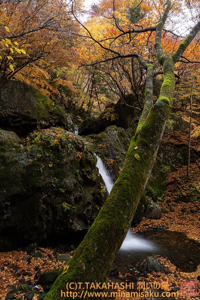 ../Images/7R251109 (236).jpg